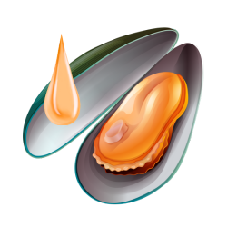 Huile de moule verte 